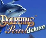 Dolphin's Pearl at SpinBoss