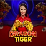 Dragon Tiger Live at SpinBoss